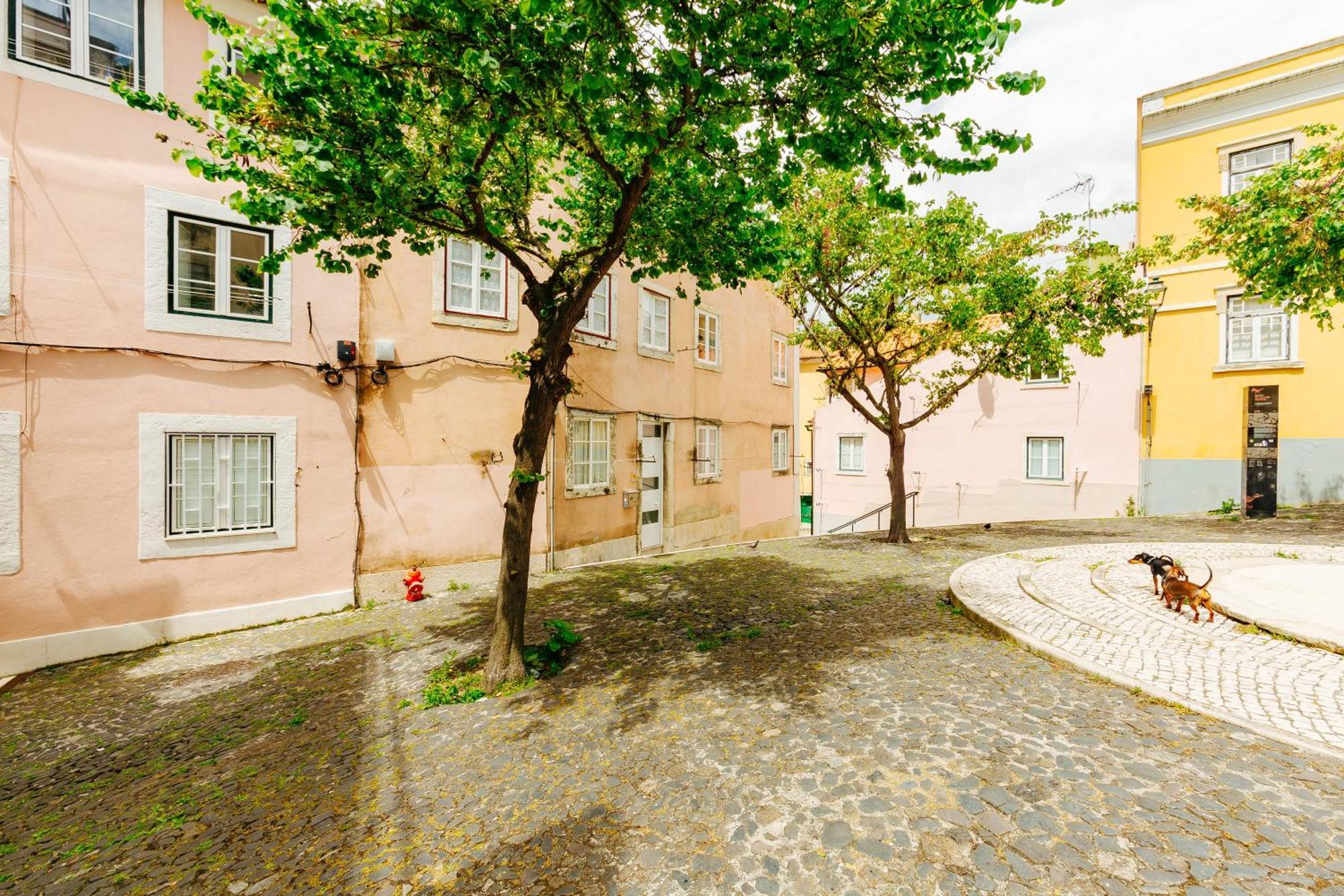Rent4Rest Lisbon Downtown Tiny Studio Apartments Eksteriør billede